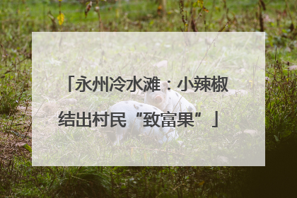 永州冷水滩：小辣椒结出村民“致富果”