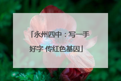 永州四中：写一手好字 传红色基因