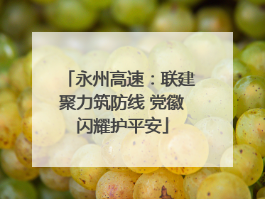 永州高速：联建聚力筑防线 党徽闪耀护平安