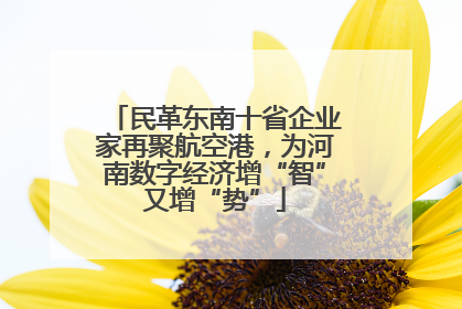 民革东南十省企业家再聚航空港，为河南数字经济增“智”又增“势”