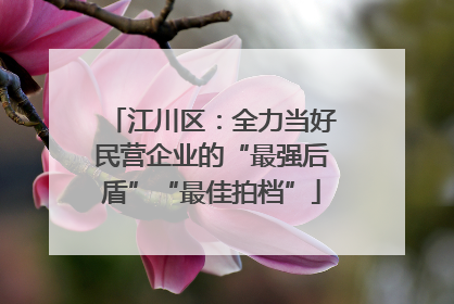江川区：全力当好民营企业的“最强后盾”“最佳拍档”