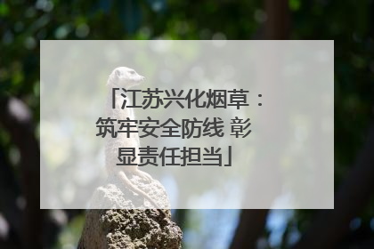 江苏兴化烟草：筑牢安全防线 彰显责任担当