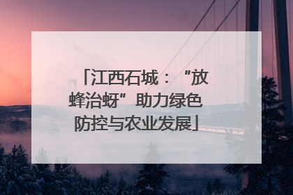 江西石城：“放蜂治蚜”助力绿色防控与农业发展