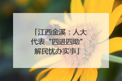 江西金溪：人大代表“四进四助”解民忧办实事
