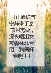汪峰称与宁静牵手是节目需要，深夜晒出女友森林北合照：我俩好着呢！