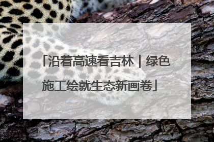 沿着高速看吉林｜绿色施工绘就生态新画卷