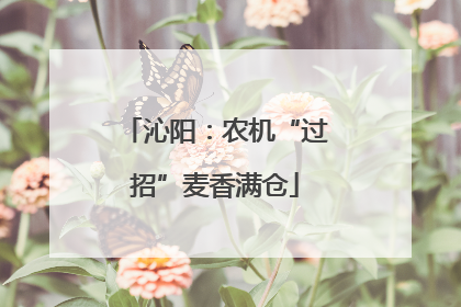 沁阳：农机“过招”麦香满仓