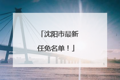 沈阳市最新任免名单！