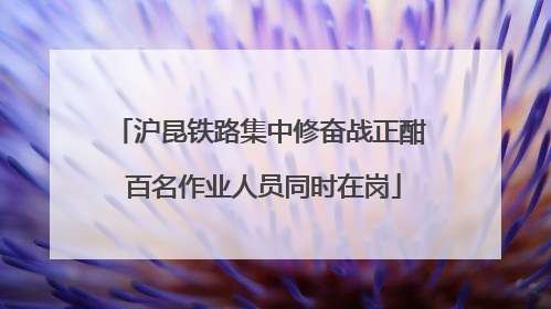 沪昆铁路集中修奋战正酣 百名作业人员同时在岗