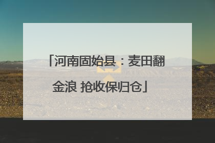 河南固始县：麦田翻金浪 抢收保归仓