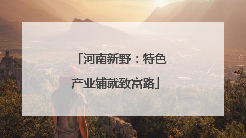 河南新野：特色产业铺就致富路