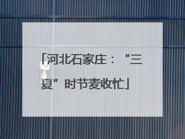 河北石家庄：“三夏”时节麦收忙