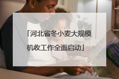 河北省冬小麦大规模机收工作全面启动