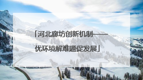 河北廊坊创新机制——优环境解难题促发展
