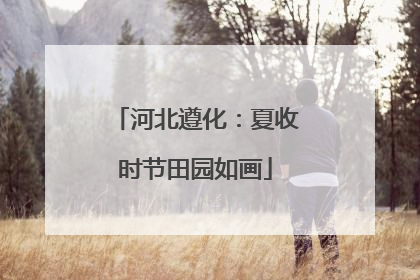 河北遵化：夏收时节田园如画