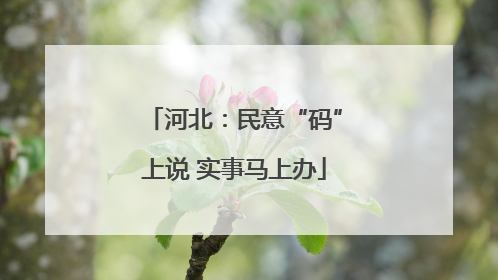 河北：民意“码”上说 实事马上办