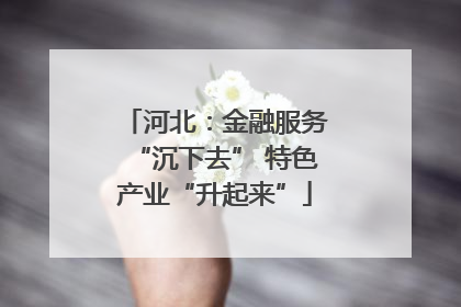 河北：金融服务“沉下去” 特色产业“升起来”