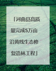 河曲县高质量完成5万亩沿黄线生态修复造林工程
