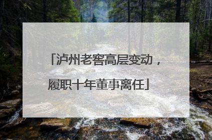 泸州老窖高层变动，履职十年董事离任