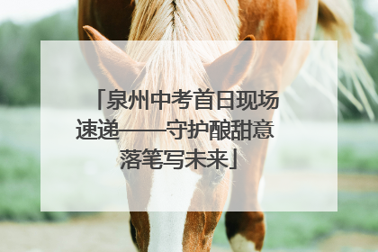 泉州中考首日现场速递——守护酿甜意 落笔写未来
