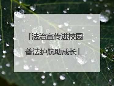 法治宣传进校园 普法护航助成长