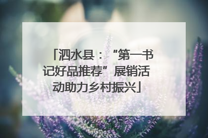 泗水县：“第一书记好品推荐”展销活动助力乡村振兴