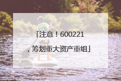 注意！600221，筹划重大资产重组