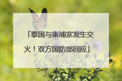 泰国与柬埔寨发生交火！双方国防部回应