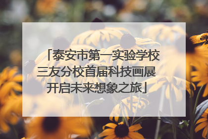 泰安市第一实验学校三友分校首届科技画展开启未来想象之旅