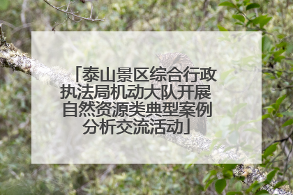 泰山景区综合行政执法局机动大队开展自然资源类典型案例分析交流活动