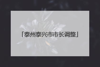 泰州泰兴市市长调整