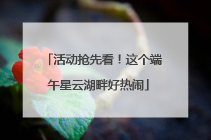 活动抢先看！这个端午星云湖畔好热闹