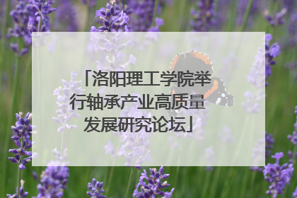 洛阳理工学院举行轴承产业高质量发展研究论坛