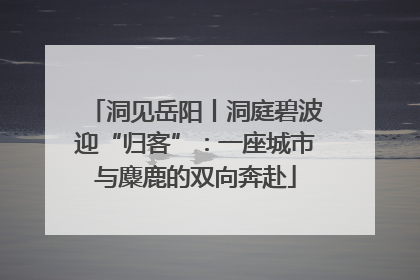 洞见岳阳丨洞庭碧波迎“归客”：一座城市与麋鹿的双向奔赴