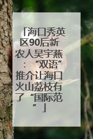 海口秀英区90后新农人吴宇燕：“双语”推介让海口火山荔枝有了“国际范”