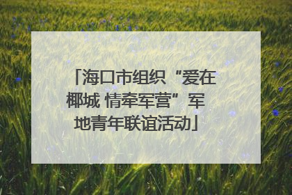 海口市组织“爱在椰城 情牵军营”军地青年联谊活动