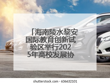 海南陵水黎安国际教育创新试验区举行2025年高校发展协同圆桌会会议