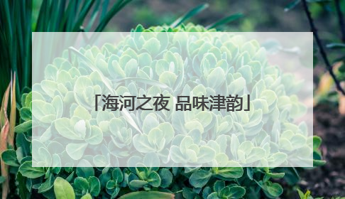 海河之夜 品味津韵