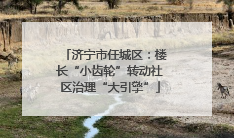 济宁市任城区：楼长“小齿轮”转动社区治理“大引擎”