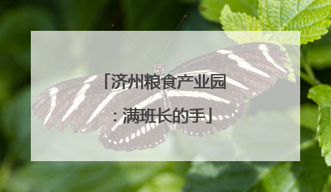 济州粮食产业园：满班长的手