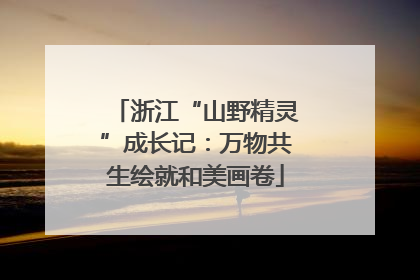 浙江“山野精灵”成长记：万物共生绘就和美画卷