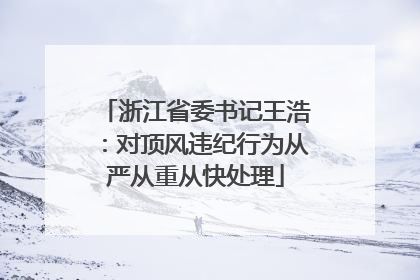 浙江省委书记王浩：对顶风违纪行为从严从重从快处理