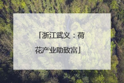 浙江武义：荷花产业助致富