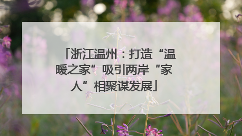 浙江温州：打造“温暖之家”吸引两岸“家人”相聚谋发展