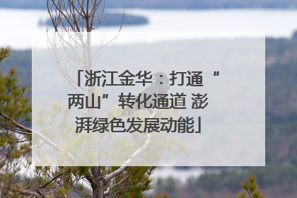 浙江金华：打通“两山”转化通道 澎湃绿色发展动能