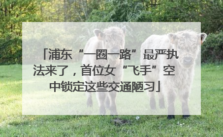 浦东“一圈一路”最严执法来了，首位女“飞手”空中锁定这些交通陋习
