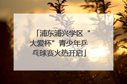浦东浦兴学区“大爱杯”青少年乒乓球赛火热开启