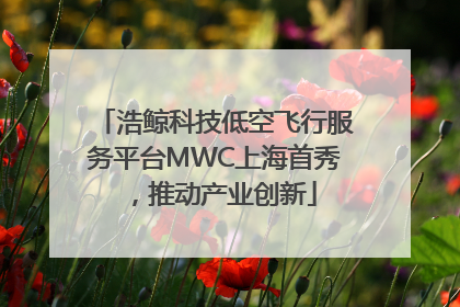 浩鲸科技低空飞行服务平台MWC上海首秀，推动产业创新