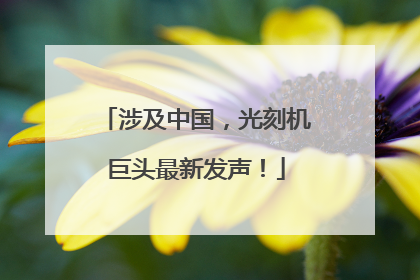 涉及中国，光刻机巨头最新发声！