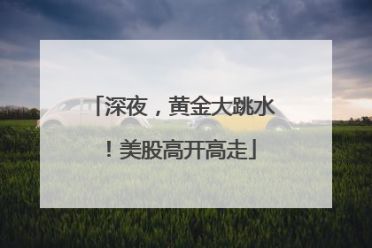 深夜，黄金大跳水！美股高开高走